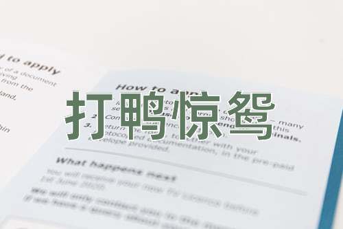 成语打鸭惊鸳