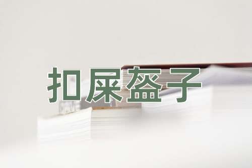 成语扣屎盔子