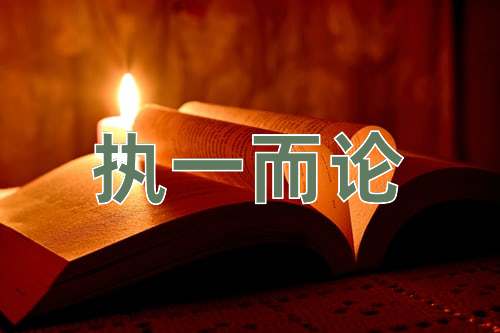 成语执一而论
