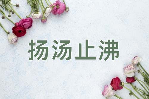 成语扬汤止沸