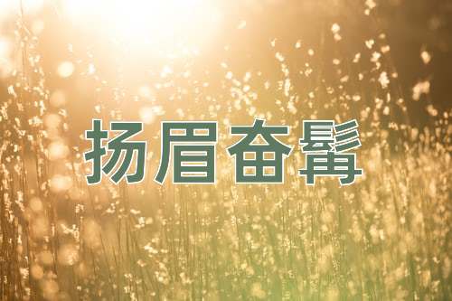 成语扬眉奋髯