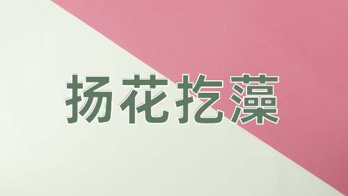 成语扬花扢藻