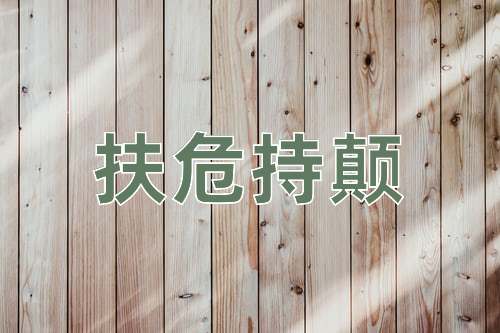 成语扶危持颠