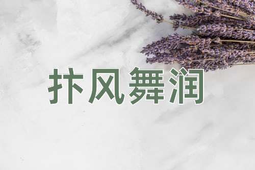 成语抃风舞润