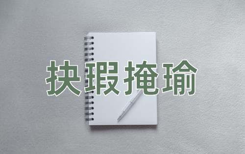 成语抉瑕掩瑜