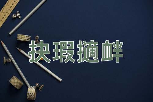 成语抉瑕擿衅