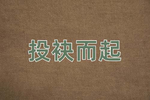 成语投袂而起