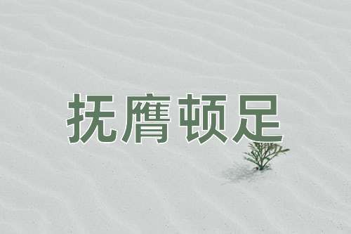 成语抚膺顿足