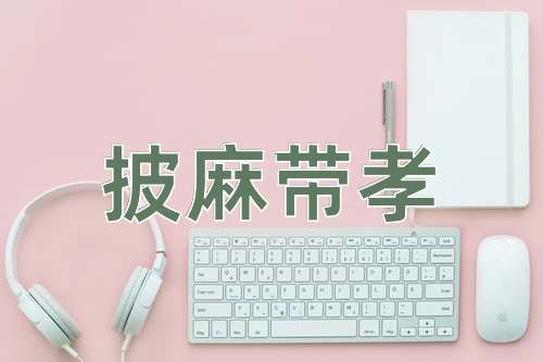 成语披麻带孝
