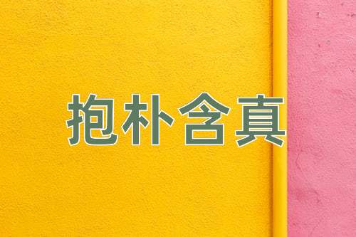 成语抱朴含真
