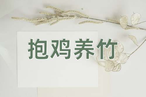 成语抱鸡养竹