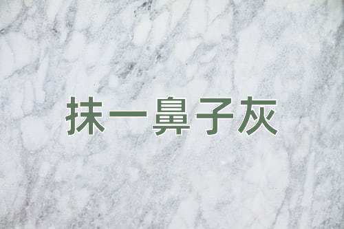 成语抹一鼻子灰