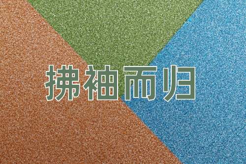 成语拂袖而归