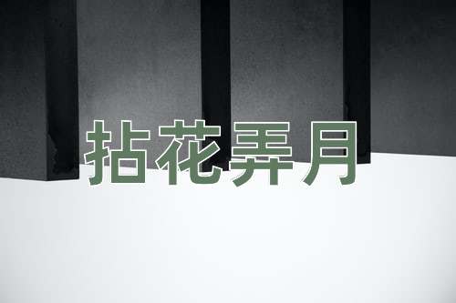 成语拈花弄月