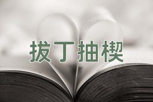 成语拔丁抽楔