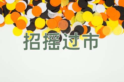 成语招摇过市