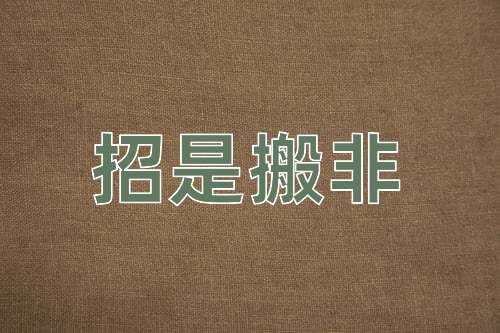 成语招是搬非