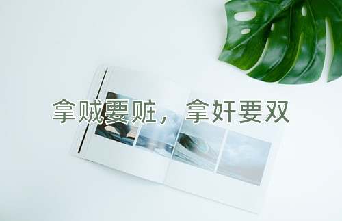 成语拿贼要赃，拿奸要双
