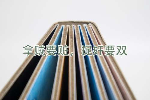 成语拿贼要赃，捉奸要双