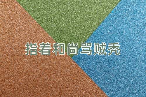 成语指着和尚骂贼秃