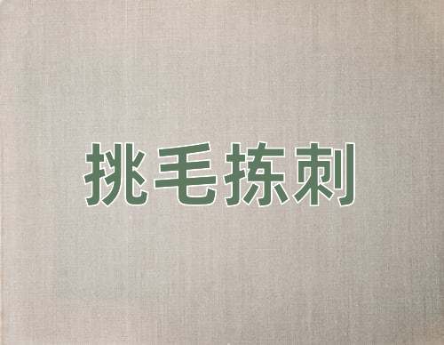 成语挑毛拣刺