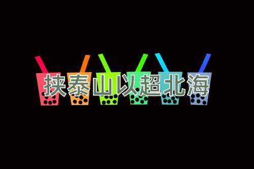 成语挟泰山以超北海