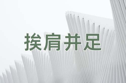成语挨肩并足