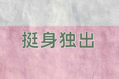 成语挺身独出