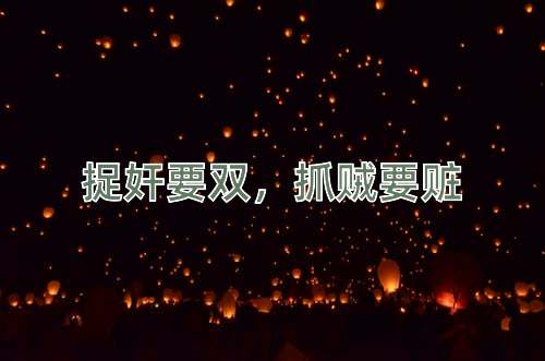 成语捉奸要双，抓贼要赃