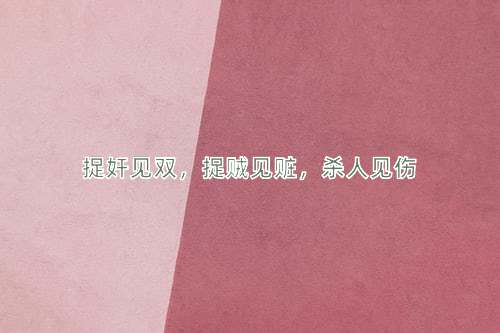 成语捉奸见双，捉贼见赃，杀人见伤