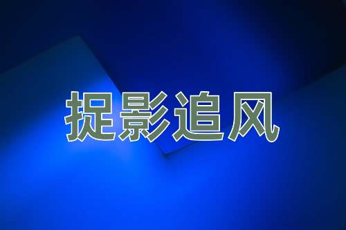 成语捉影追风