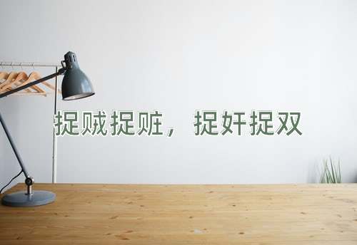 成语捉贼捉赃，捉奸捉双
