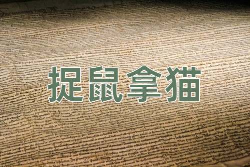 成语捉鼠拿猫