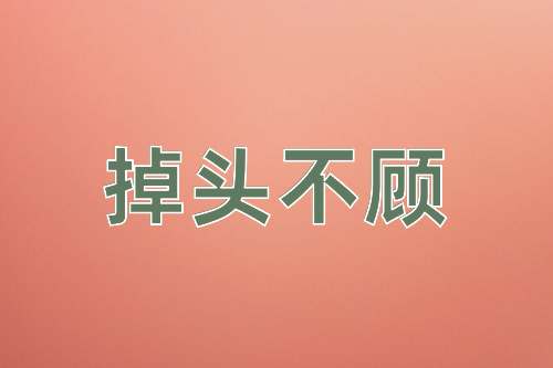 成语掉头不顾
