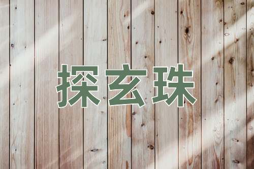 成语探玄珠