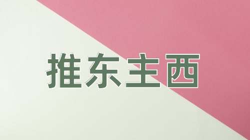 成语推东主西