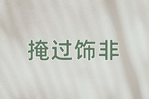 成语掩过饰非