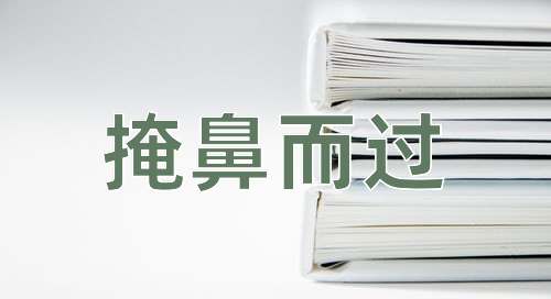 成语掩鼻而过