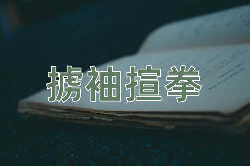 成语掳袖揎拳