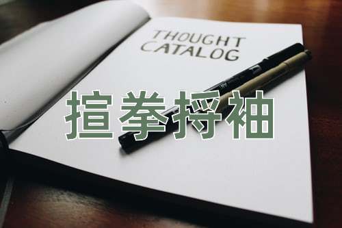 成语揎拳捋袖
