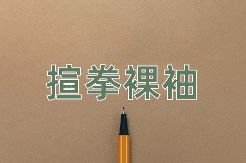 成语揎拳裸袖