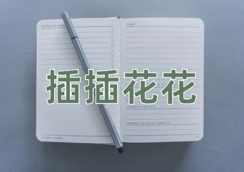 成语插插花花