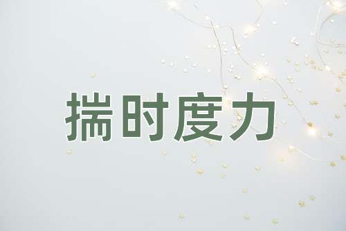 成语揣时度力