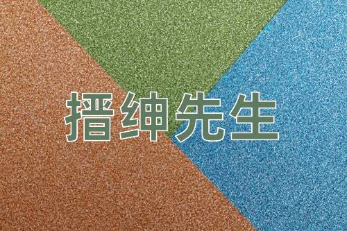 成语搢绅先生