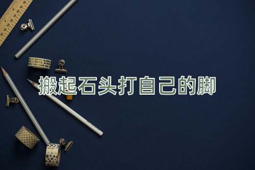 成语搬起石头打自己的脚