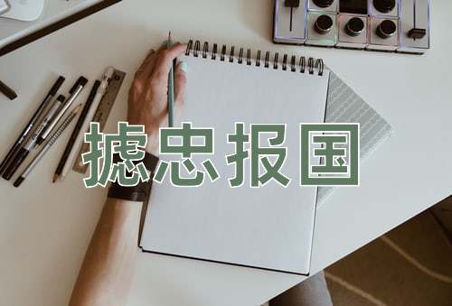成语摅忠报国