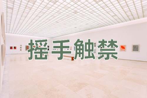 成语摇手触禁