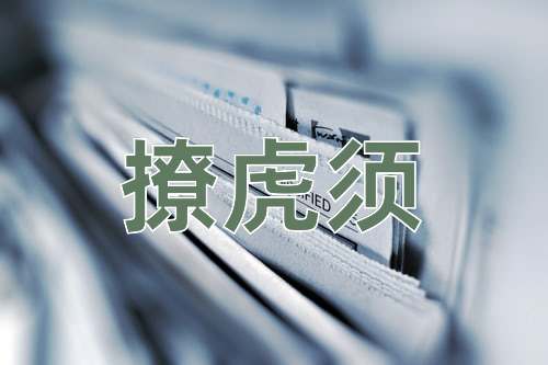 成语撩虎须