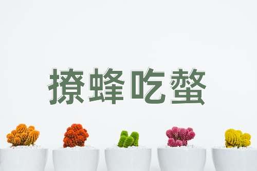 成语撩蜂吃螫