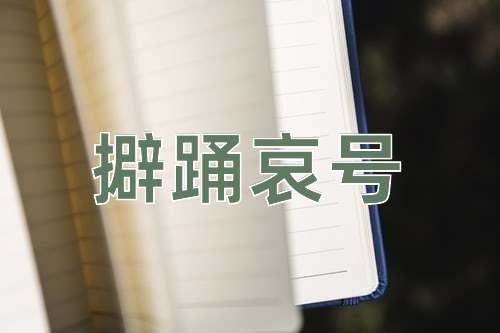 成语擗踊哀号